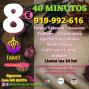 Se ofrece Otros Servicios: ¿QUIERES LA VERDAD? TAROT LAS 24 HORAS